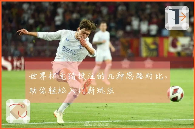 世界杯竞猜投注的几种思路对比，助你轻松入门新玩法