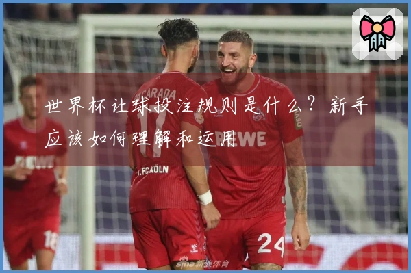 世界杯让球投注规则是什么？新手应该如何理解和运用