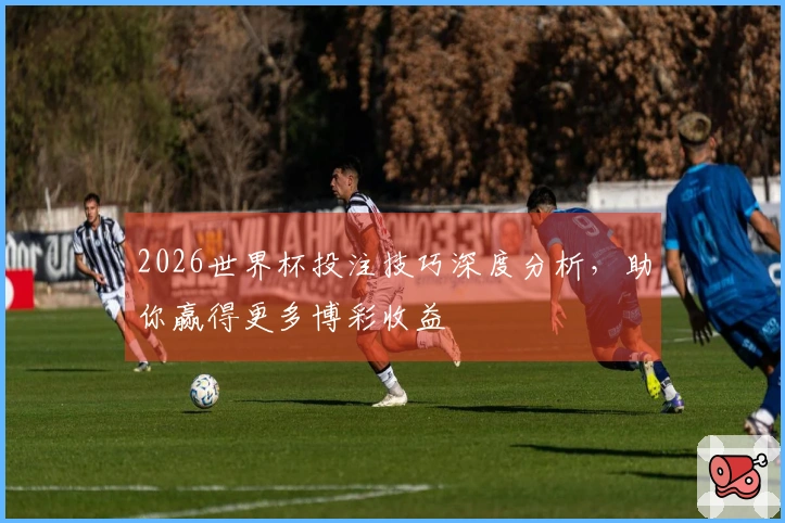 2026世界杯投注技巧深度分析，助你赢得更多博彩收益