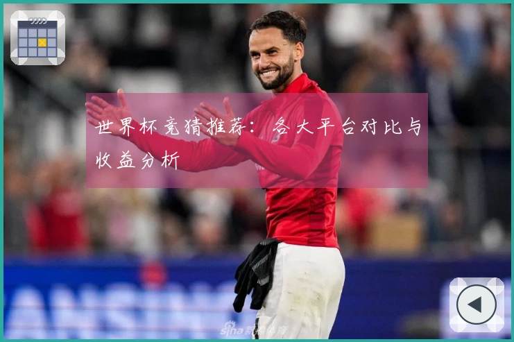 世界杯竞猜推荐：各大平台对比与收益分析
